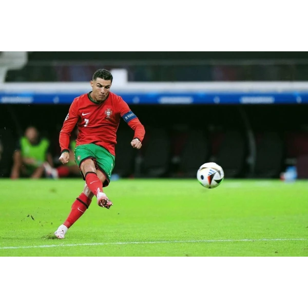 tiyu-ngsports.com.cn APP - ngsportsltd.com